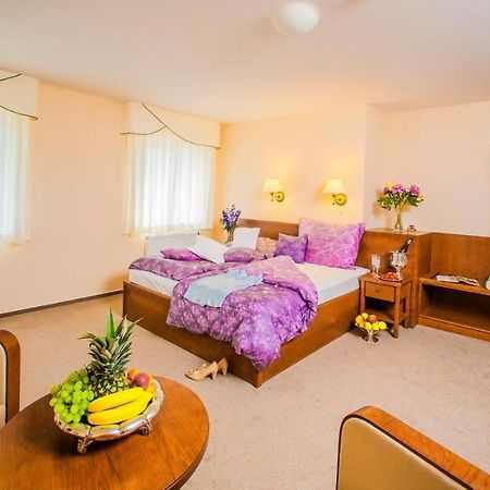 Manor House Otel Broumov Dış mekan fotoğraf